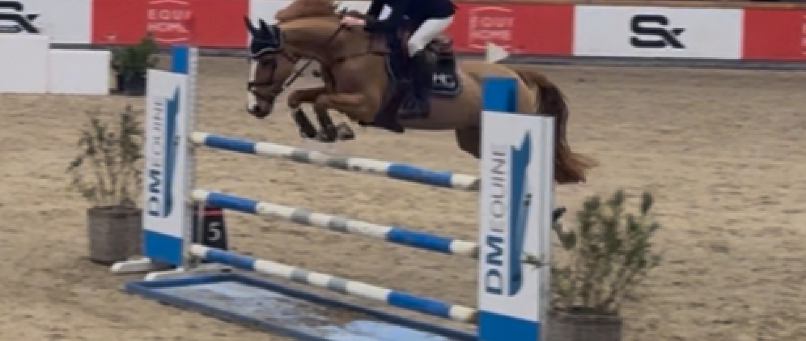 Louise & Funky 3th place in the final of the ponycriterium